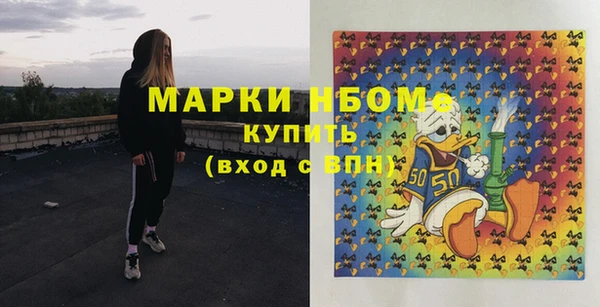 индика Куйбышев