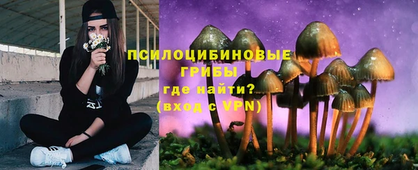 ГАЛЛЮЦИНОГЕННЫЕ ГРИБЫ Кулебаки