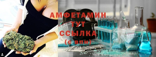 ГАЛЛЮЦИНОГЕННЫЕ ГРИБЫ Кулебаки