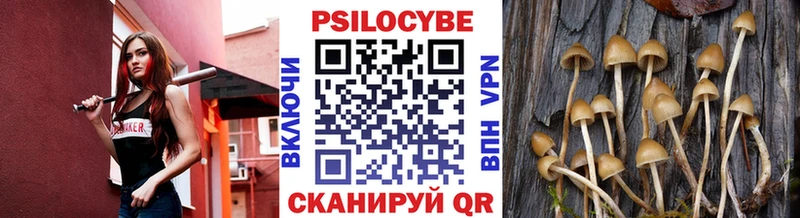 shop наркотические препараты  Ельня  Псилоцибиновые грибы ЛСД  наркотики 